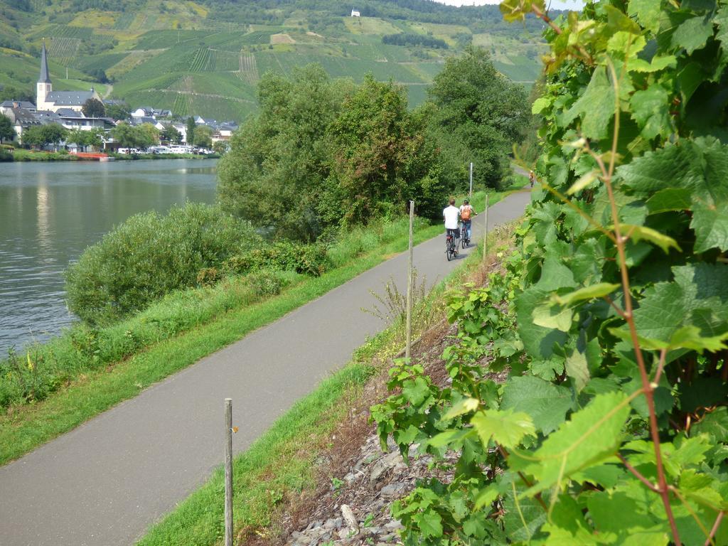 Sonnenhaus Ferienwohnungen Traben-Trarbach Eksteriør billede